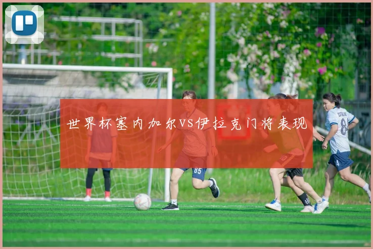 世界杯塞内加尔vs伊拉克门将表现