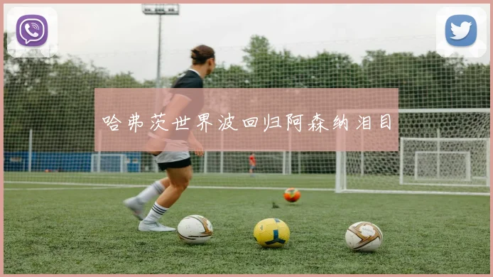 哈弗茨世界波回归阿森纳泪目