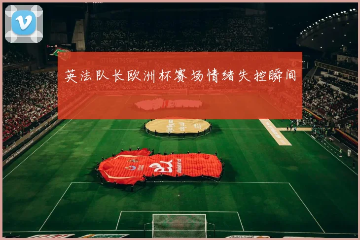 英法队长欧洲杯赛场情绪失控瞬间
