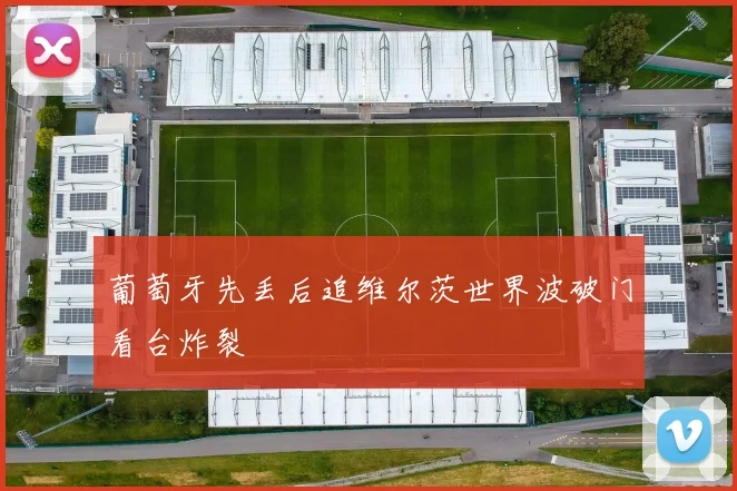 葡萄牙先丢后追维尔茨世界波破门看台炸裂