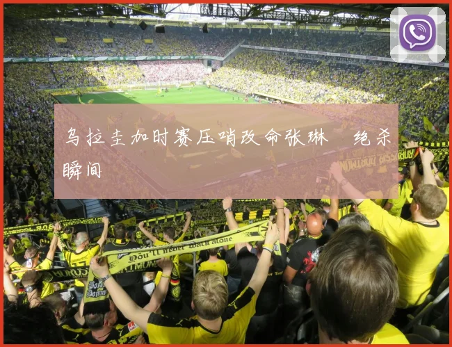 乌拉圭加时赛压哨改命张琳芃绝杀瞬间