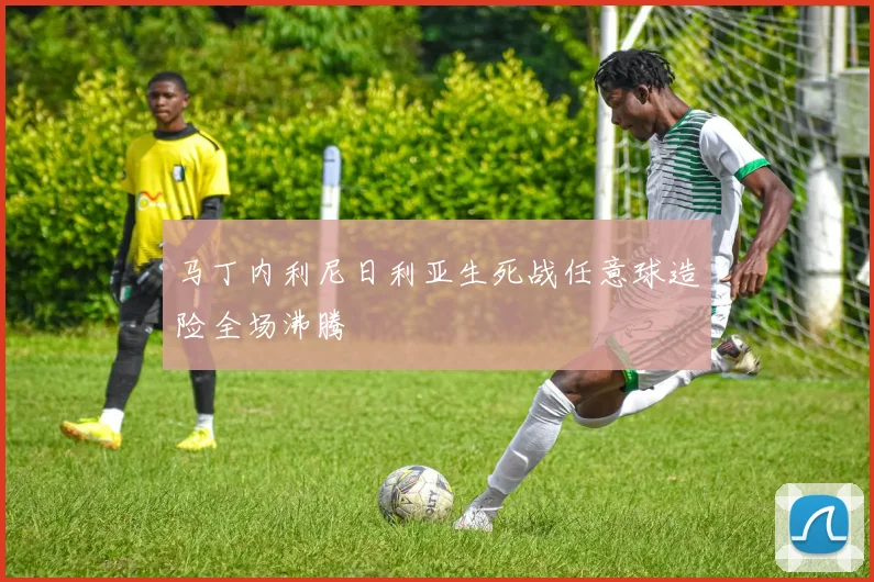 马丁内利尼日利亚生死战任意球造险全场沸腾