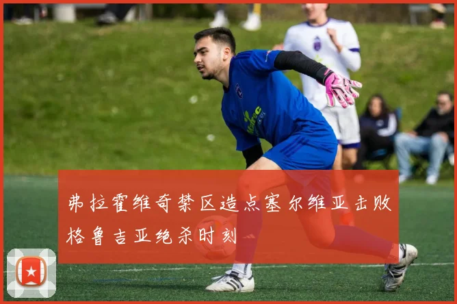 弗拉霍维奇禁区造点塞尔维亚击败格鲁吉亚绝杀时刻